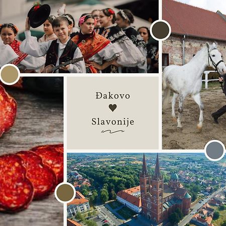 Sobe Dakovacki Vezovi Hotel Ðakovo Eksteriør billede